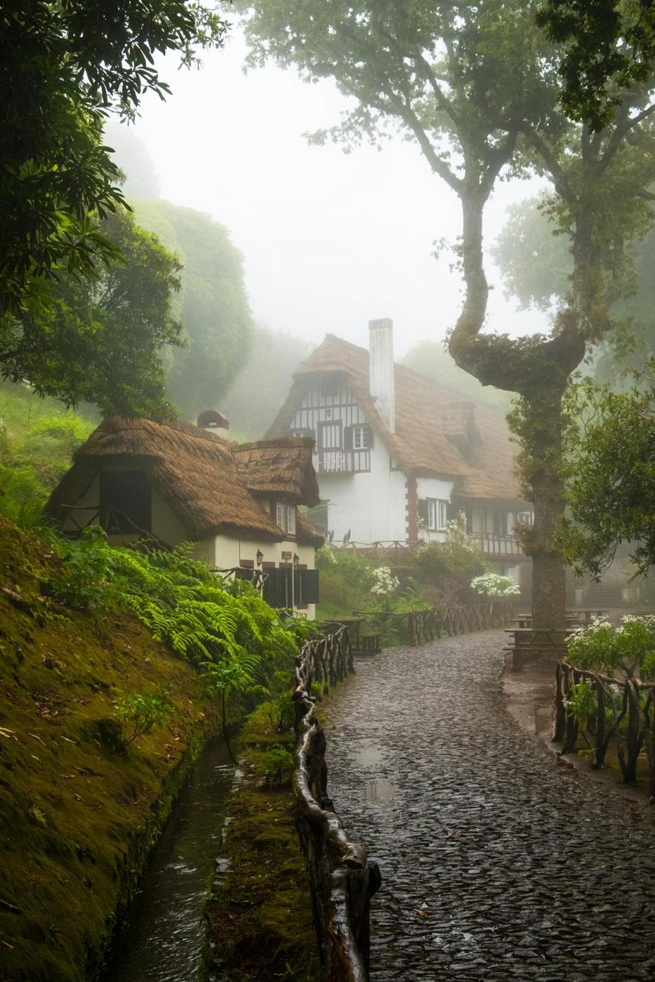 Thatched houses along a misty forest path in Madeira